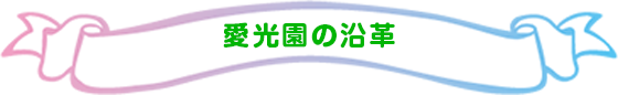 愛光園の沿革