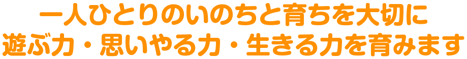 一人ひとりのいのちと育ちを大切に遊ぶ力・思いやる力・生きる力を育みます